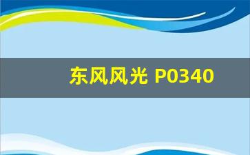 东风风光 P0340,故障码p0340维修案例